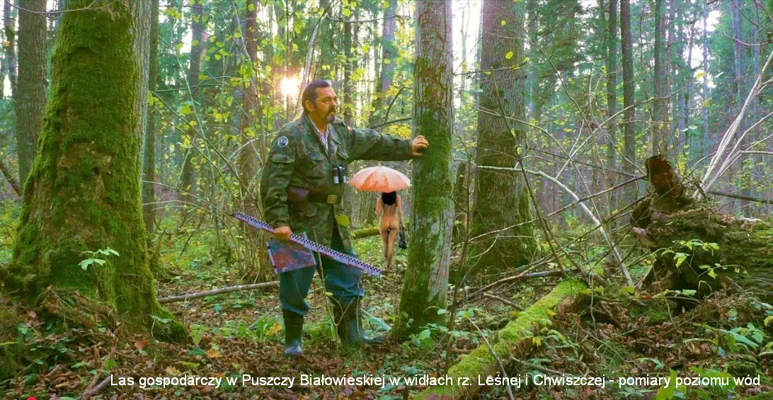 Puszcza Białowieska - las grądowy