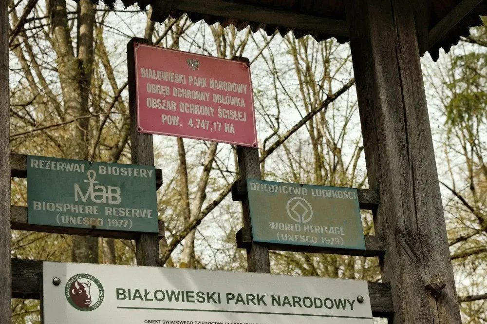 Puszcza Białowieska - unesco