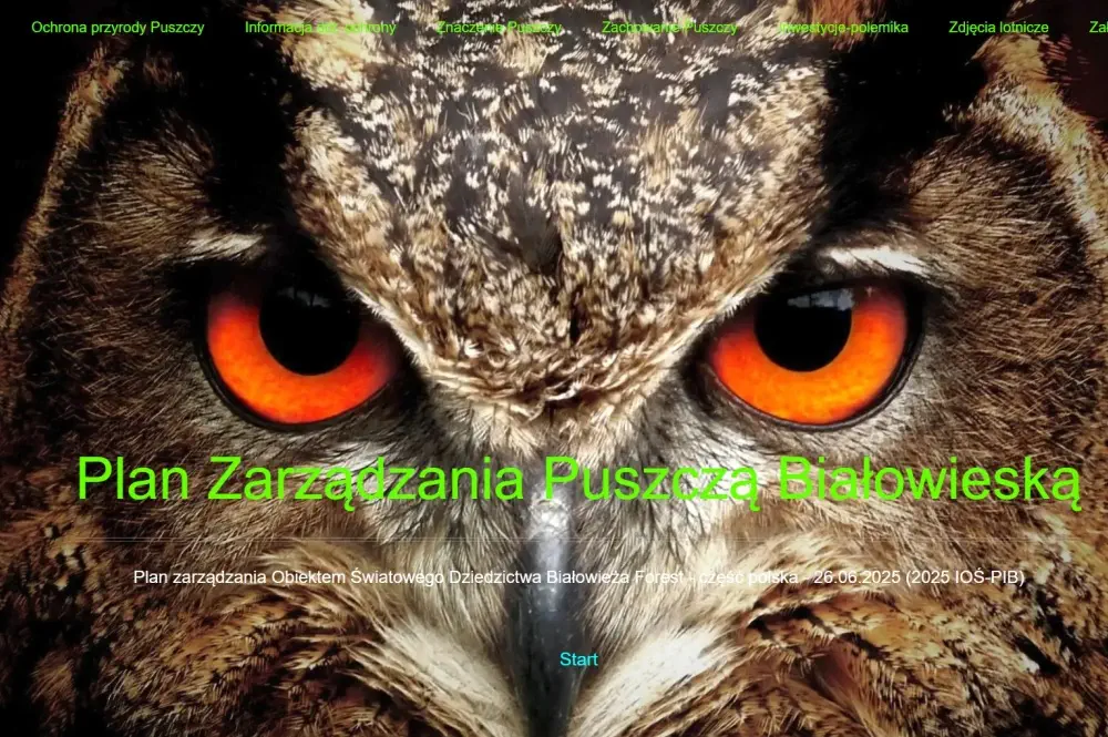 Puszcza Białowieska - moja strona www