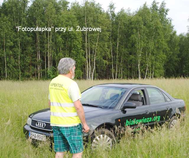 powierzchnia badań