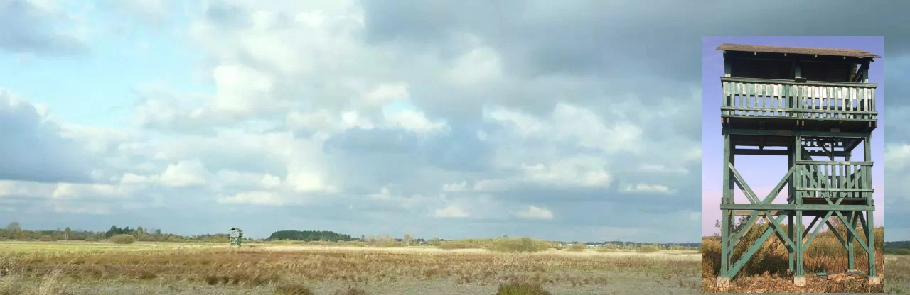 Górniańskie Łąki - panorama