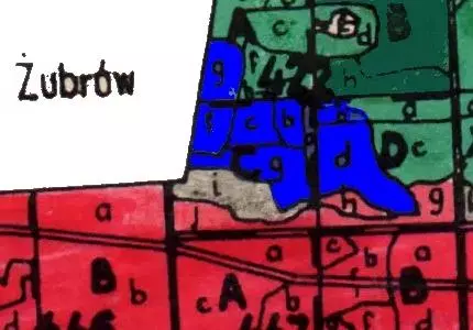 Mapa drzewostanowa Puszczy Białowieskiej