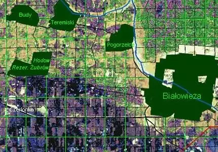 Mapa flory Puszczy Białowieskiej