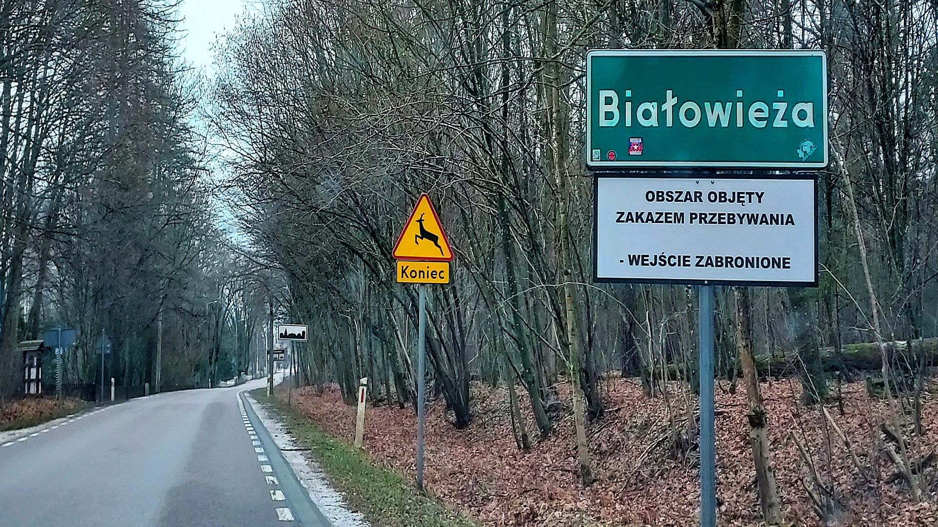 Białowieża - Puszcza Białowieska
