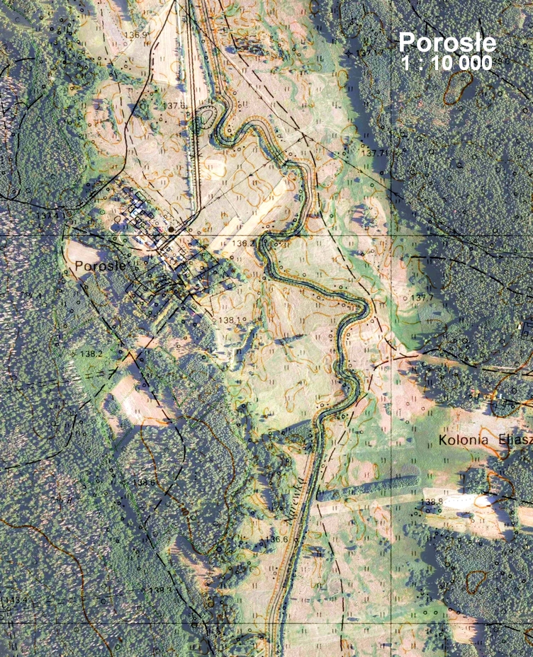 Puszcza Białowieska - Porosle