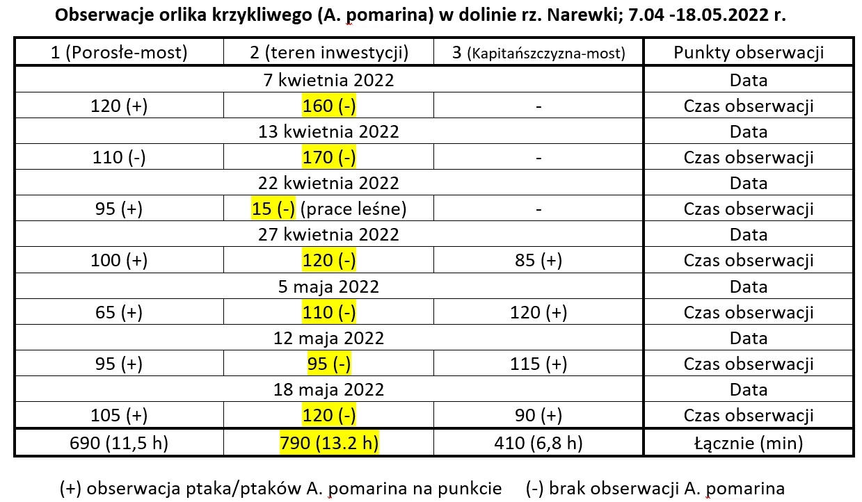 Puszcza Białowieska - Porosle