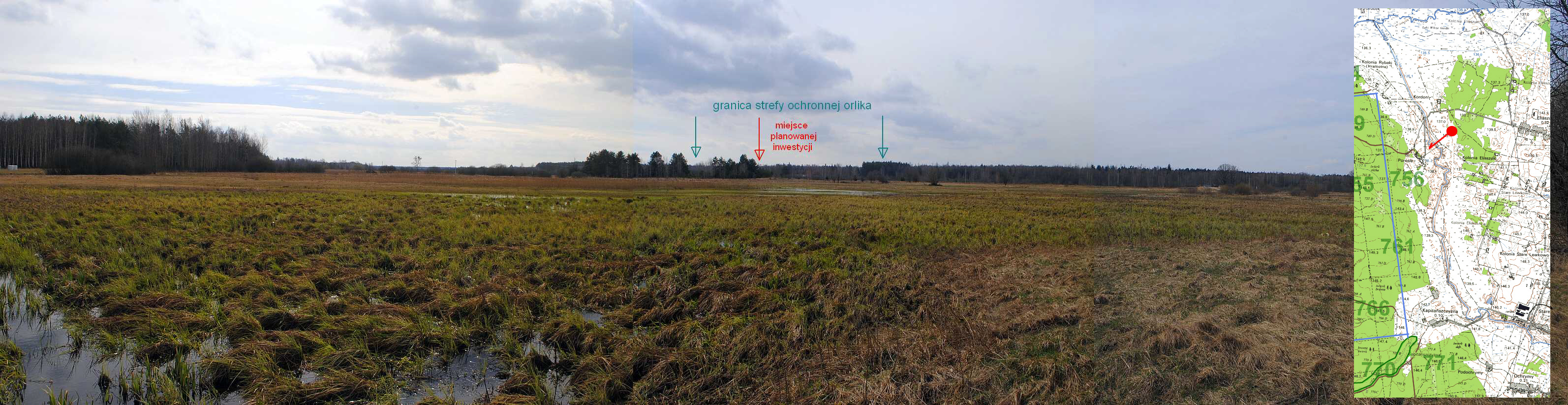 Puszcza Białowieska - Porosle