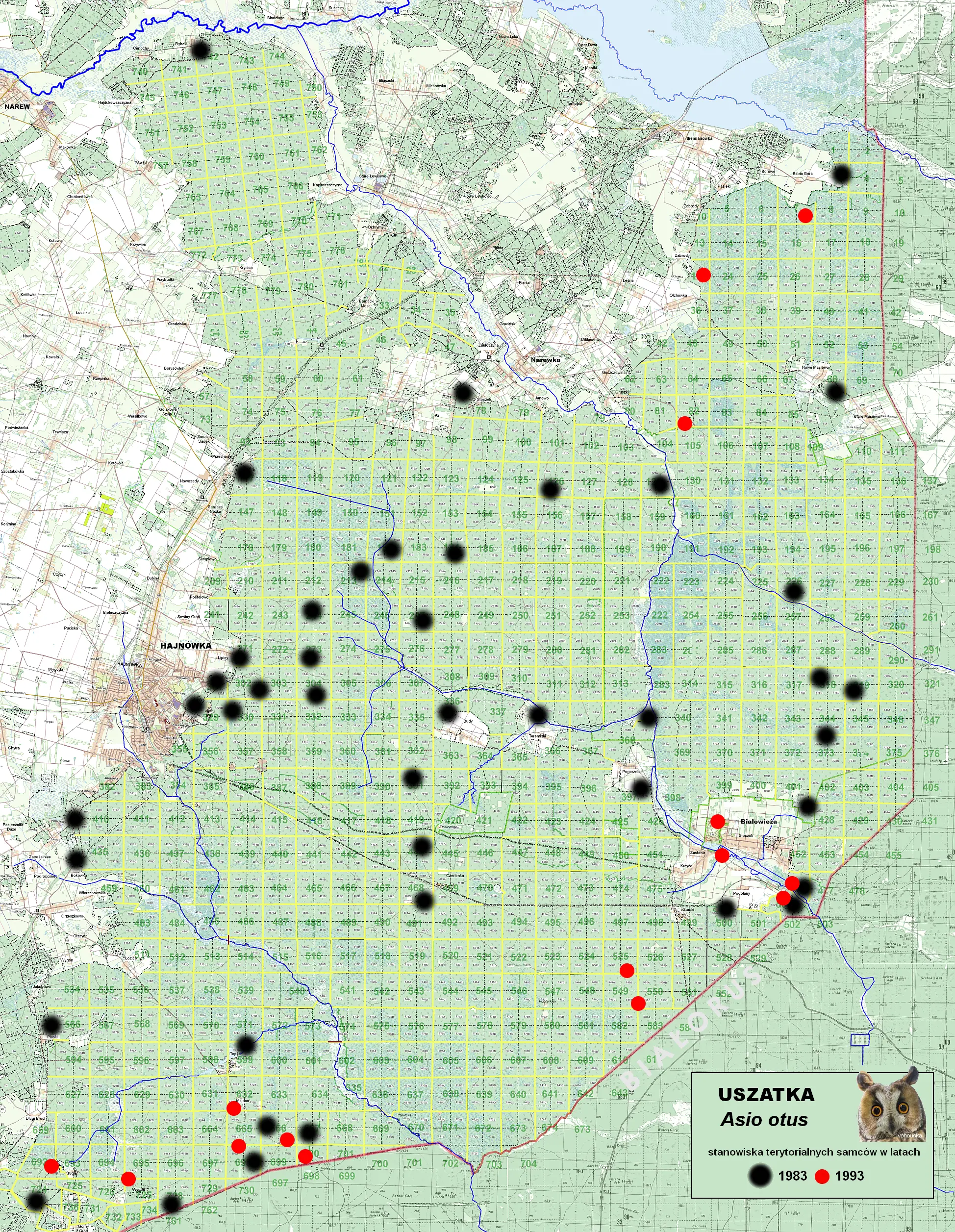 uszatka-mapa