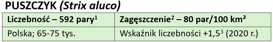 puszczyk-tekst